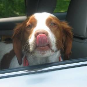 Meet your Posher, Leah